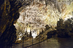 Die Höhlen von Postojna in Slowenien.