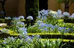 Der Garten von Alhambra, Granada.