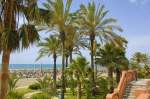 Palmen am Strand von Benalmádena an der Costa del Sol. Aufnahme: Juli 2014.