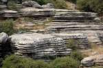  Die Felsformation »Tornillo« im Torcal-Park. Aufnahme: Juli 2014.