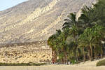 Palmenstrand südlich von Costa Palma auf der Insel Fuerteventura.