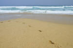 Playa de Cofete auf der Insel Fuerteventura.