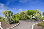 Kaktusgarten am Museo del Queso in Antigua auf der Insel Fuerteventura in Spanien. Aufnahme: 18. Oktober 2017.