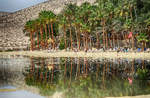 Palmenstrand vor dem Hotel Los Giorgiones auf der Insel Fuerteventura in Spanien.