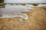 Das Wasser steigt in der Sotavento-Lagune an der Insel Fuerteventura in Spanien.