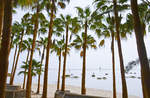 Palmenstrand vor Hotel Los Giorgiones auf der Insel Fuerteventura in Spanien.