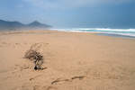 Playa Barlovento auf der Insel Fuerteventura in Spanien.