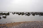 Das Wasser steigt in der Sotavento-Lagune auf der Insel Fuerteventura in Spanien.