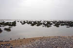 Das Wasser steigt in der Sotavento-Lagune auf der Insel Fuerteventura in Spanien. Aufnahme: 16. Oktober 2017.