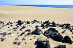 Vulkansteine in den Wanderdünen südlich von Corralejo auf der Insel Fuerteventura in Spanien.