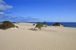 Seeblick von den Dünen südlich von Corralejo auf der Insel Fuerteventura.