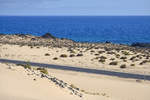 Landschaft an der Landesstraße FV-1A südlich von Corralejo auf der Insel Fuerteventura in Spanien.