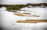 Hochwasser an der Sotavento-Lagune auf der Insel Fuerteventura in Spanien.