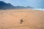 Playa Barlovento auf der Insel Fuerteventura in Spanien. Aufnahme: 17. Oktober 2017.