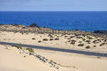 Fuerteventura in Spanien - Eine Strasse wurde mitten durch die Wanderdünen von Corralejo gebaut, die von Puerto del Rosario an der Ostküste Fuerteventuras entlang bis nach Corralejo führt.

Aufnahme: 18. Oktober 2017.