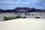 In den Wanderdünen El Falble im Parque Natural de Corralejo auf der Insel Fuerteventura in Spanien. Aufnahme: 19. Oktober 2017.