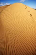Die Dünen von Maspalomas. Aufnahme: Oktober 2009. Ist man in den Dünen unterwegs und steht gerade in einer Senke kommt schon fast Saharafeeling auf. Bloß Kamele fehlen noch. 