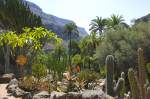 Palmitos Park - Gran Canaria. Aufnahme: Oktober 2009.