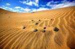 Die Dünen von Maspalomas - Gran Canaria.