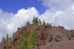 Monumento Natural del Roque Nublo - Gran Canaria. Aufnahme: Oktober 2009.