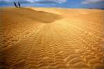 Dunas de Maspalomas - Aufnahme: Oktober 2009.