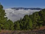 Blick von der Flanke des Pico Birigoyo auf die Bergumrahmung der Caldera de Taburiente. Aus den Wolken ragt der 1857 m hohe Pico Bejenado. La Palma, September 2013.