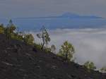 Aussicht vom Hang des Volcn Martn auf die wolkenverhangene Ostseite von La Palma sowie die im Hintergrund liegende Insel Teneriffa mit dem 3718 m hohe Pico del Teide (Oktober 2013).