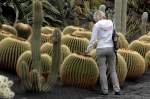 Jardín de Cactus bei Guatiza.