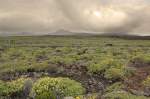 Landschaft in der Nähe von Cueva de Los Verdes, Lanzarote.