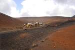 Parque National de Timanfaya.