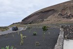 TEGUISE, 02.04.2016, typischer Lavaboden auf Lanzarote