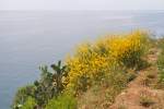 TOSSA DE MAR, 09.06.2015, am Leuchtturm