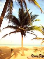 Dieses Strandfoto habe ich in Sri Lanka gemacht und ich nenne es-Einfach mal abschalten.Ich finde,man kann dabei seine Gedanken sortieren und schon an den nchsten Urlaub denken,ganz egal wohin.