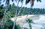 Palmenstrand vor Unawatuna südlich von Galle.