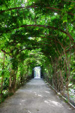 Finstere Allee im Schlosspark Schönbrunn in Wien.