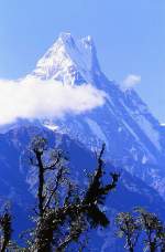 Machhapuchchhre (auch Machhapuchhare, auf deutsch »Fischschwanz«) ist ein 6997 Meter hoher Berg im Himalaya in Nepal. Aufnahme: September 1988 (Bild vom Dia).