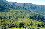 Reisfelder am Annapurna-Trail nordwestlich von Bokhara. Bild vom Dia. Aufnahme: September 1988.