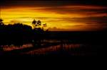 Das Rot-Orange der untergehenden Sonne spiegelt sich im Wasser der Reisfelder auf der Insel Bali im November 1988