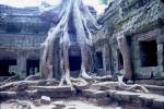 ber 1.000 Tempel wurden bisher in der riesigen Tempelstadt von Angkor ausgegraben. Angkor Wat ist der grte und am besten erhaltene der Anlage. (Mai 2006) 
