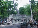 Gewaltige Bäume haben sich in einem Tempel des antiken Tempelbezirks von Angkor breit gemacht.