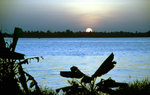 Sonnenuntergang im Mekong-Delta in Vietnam. Bild vom Dia. Aufnahme: Januar 2001.