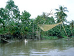 Palmen und Fischernetz im Mekong-Delta von Vietnam.