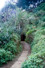 Die Landschaft an der Tunnel von Vinh Moc. Das Tunnelsystem wurde von den Nordvietnamesen gebaut. Bild vom Dia. Aufnahme: Januar 2001.