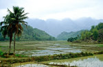 Reisfelder und Berge bei Mai Chau westlich von Hanoi. Bild vom Dia. Aufnahme: Januar 2001.