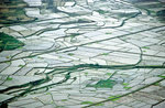 Reisfelder bei Mai Chau östlich von Hanoi. Bild vom Dia. Aufnahme: Januar 2001.