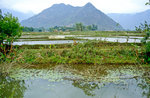 Landschaft bei Mai Chau westlich von Hanoi. Bild vom Dia. Aufnahme: Januar 2001.