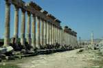 Im April 1992 besuchte ich die Oase Palmyra in Syrien. Sie lag an einer Karawanenstrasse von Damaskus an den Euphrat
