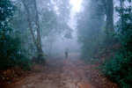 Mae Yom National Park in Thailand.