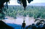 Mangrove in der Bucht von Phang-nga im Süden Thailands. Bild vom Dia. Aufnahme: Februar 1989.