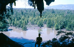 Mangrove in der Bucht von Phang-nga im Süden Thailands.